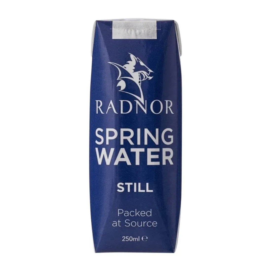 HP975 Radnor Still Spring Water Tetra Pak 250ml (Pack of 24) - JD Catering Equipment Solutions Ltd