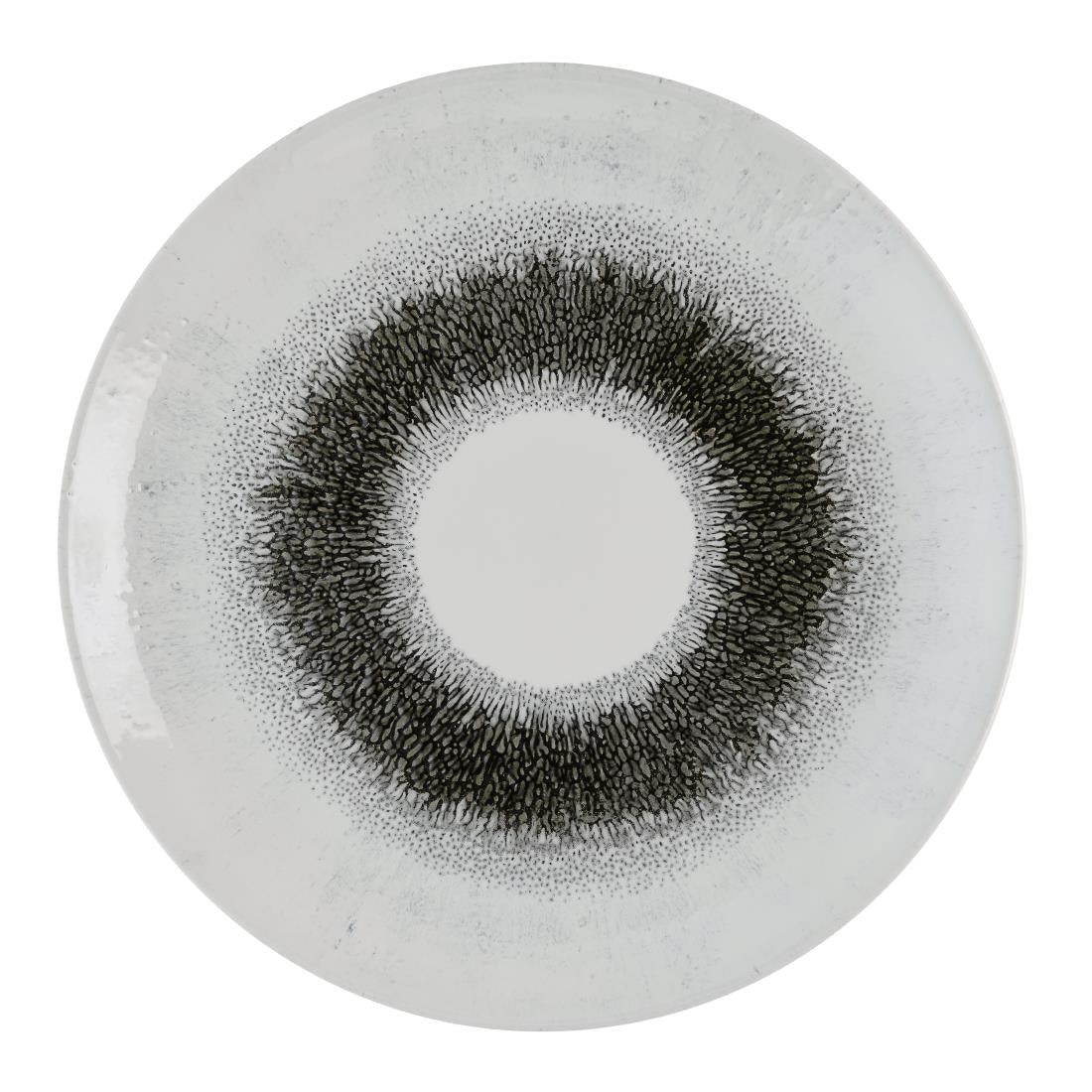 HR300 Churchill Studio Prints Fusion Black Evolve Coupe Plates 285mm (Pack of 12)