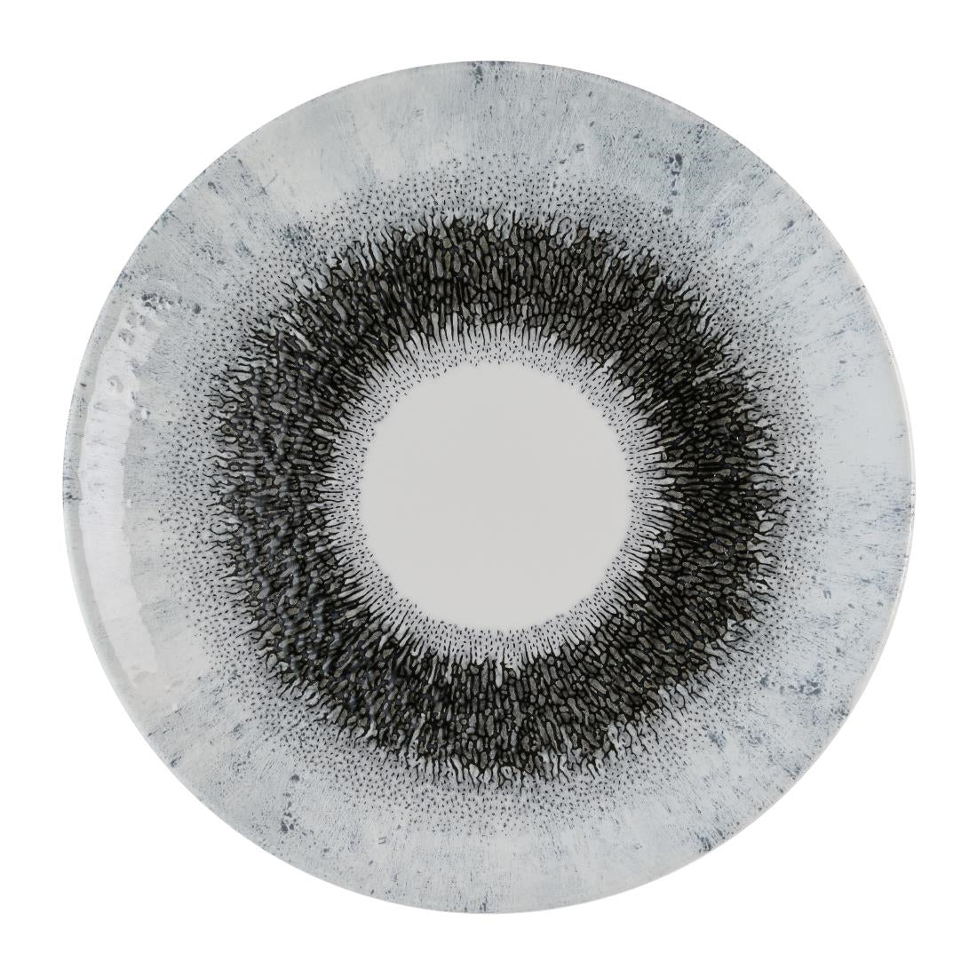 HR301 Churchill Studio Prints Fusion Black Evolve Coupe Plates 260mm (Pack of 12)