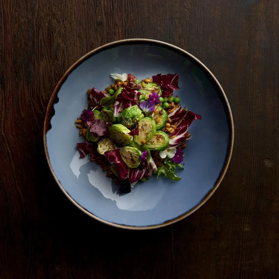 HR494 Dudson Harvest Indigo Coupe Bowls 247mm (Pack of 12) - JD Catering Equipment Solutions Ltd
