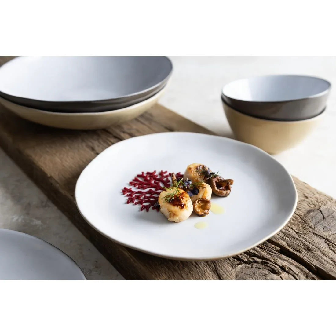 HS332 - Olympia Raw Recycled Clay Natural Coupe Plates 220mm (6 Pack)