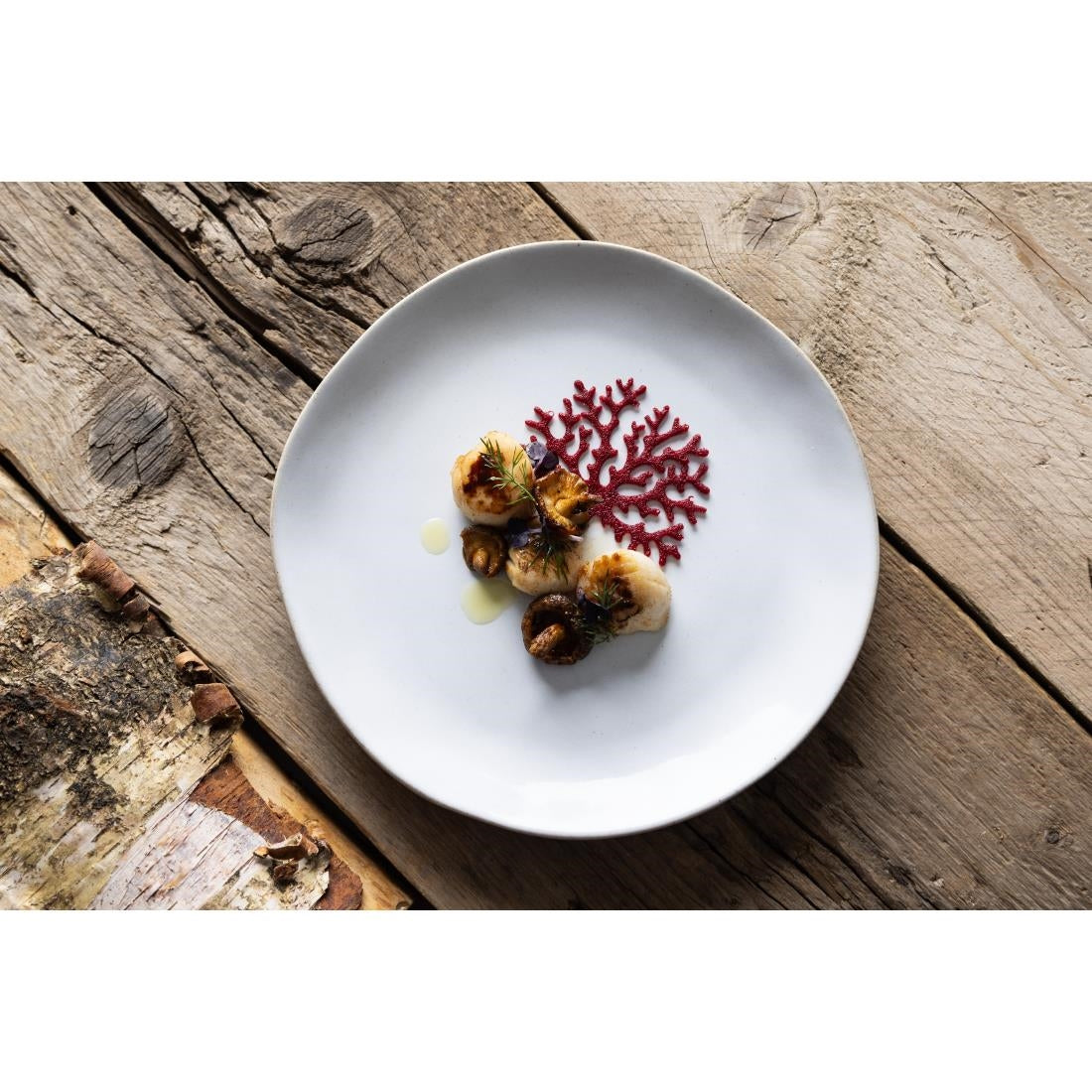 HS332 - Olympia Raw Recycled Clay Natural Coupe Plates 220mm (6 Pack)