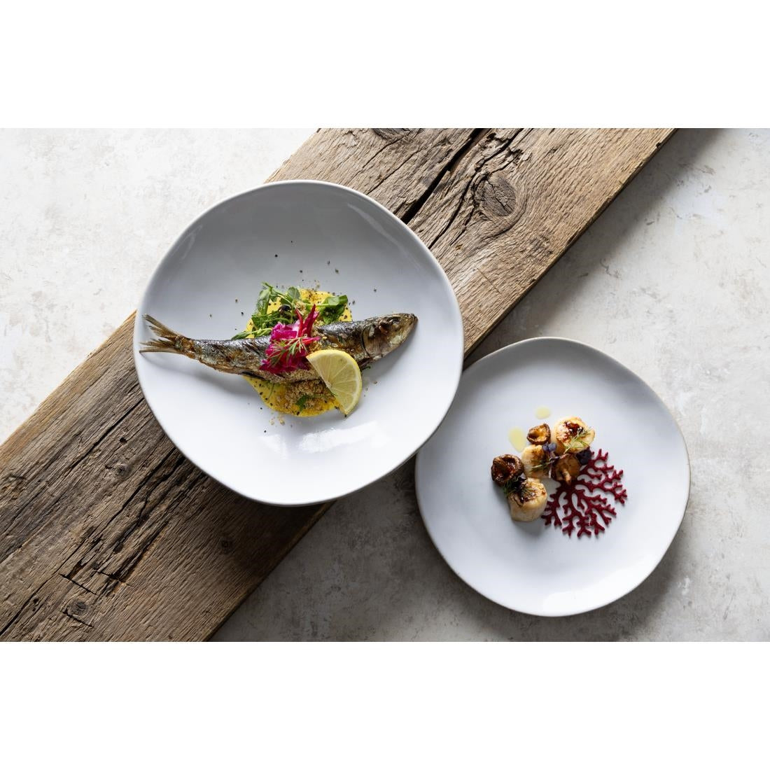 HS332 - Olympia Raw Recycled Clay Natural Coupe Plates 220mm (6 Pack)