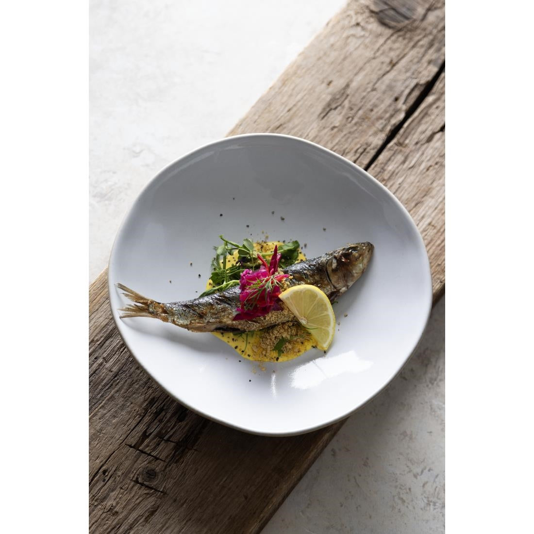 HS334 - Olympia Raw Recycled Clay Natural Coupe Bowls 230mm (6 Pack)