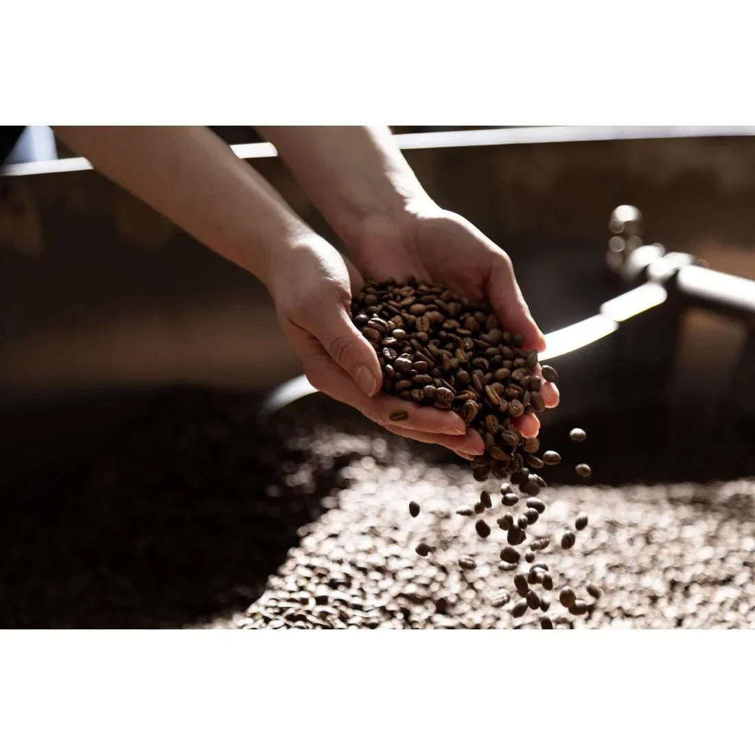 HS525 Beaumont No.1 Classico Coffee Beans 1kg