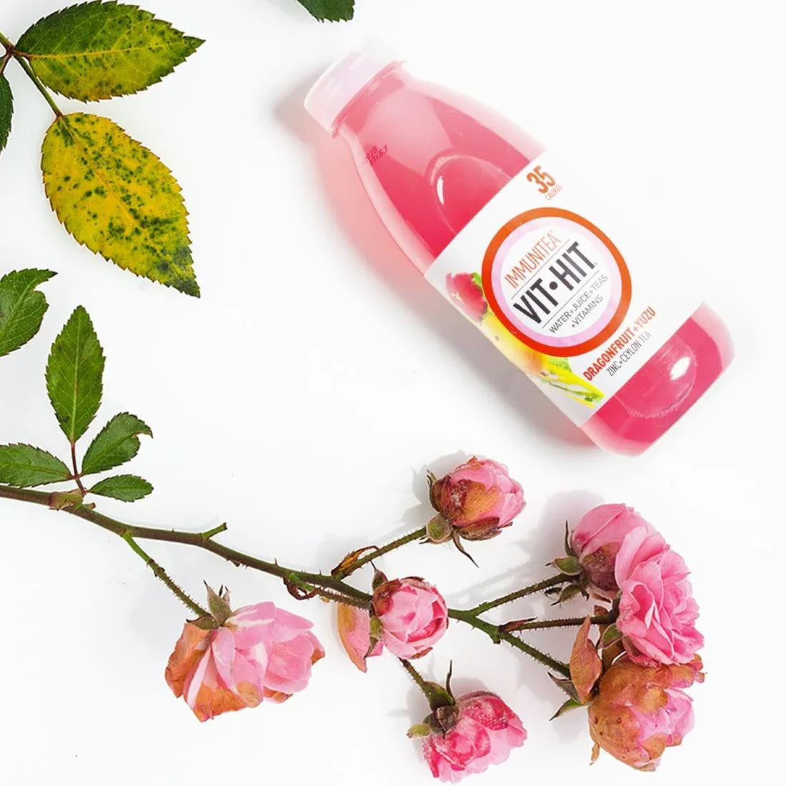 HS825 VITHIT Immunitea Dragonfruit & Yuzu Vitamin Water 500ml (Pack of 12) - JD Catering Equipment Solutions Ltd