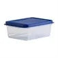 HT768 Wham Studio Rectangle Food Box Clear/Blue 1Ltr
