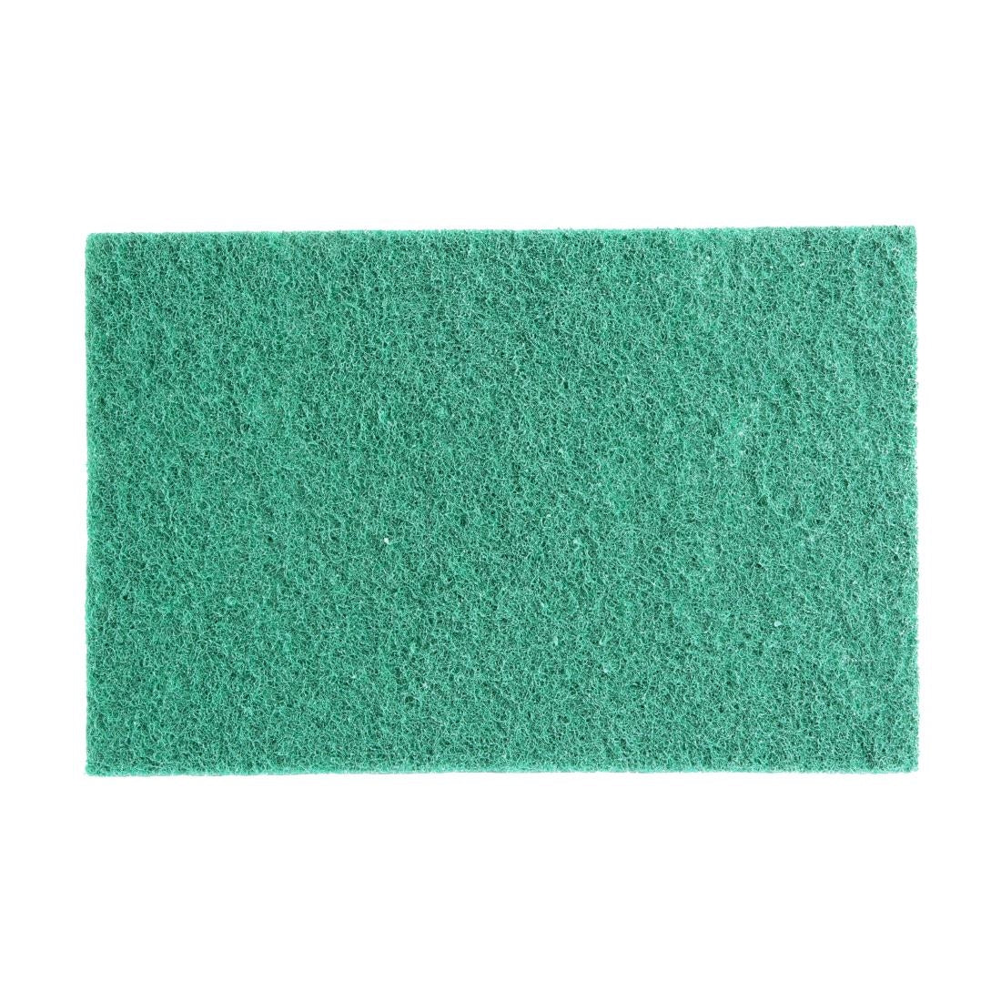 HW010 - Jantex Green 100% Recycled Scouring Pads 9x6" (10 pack)