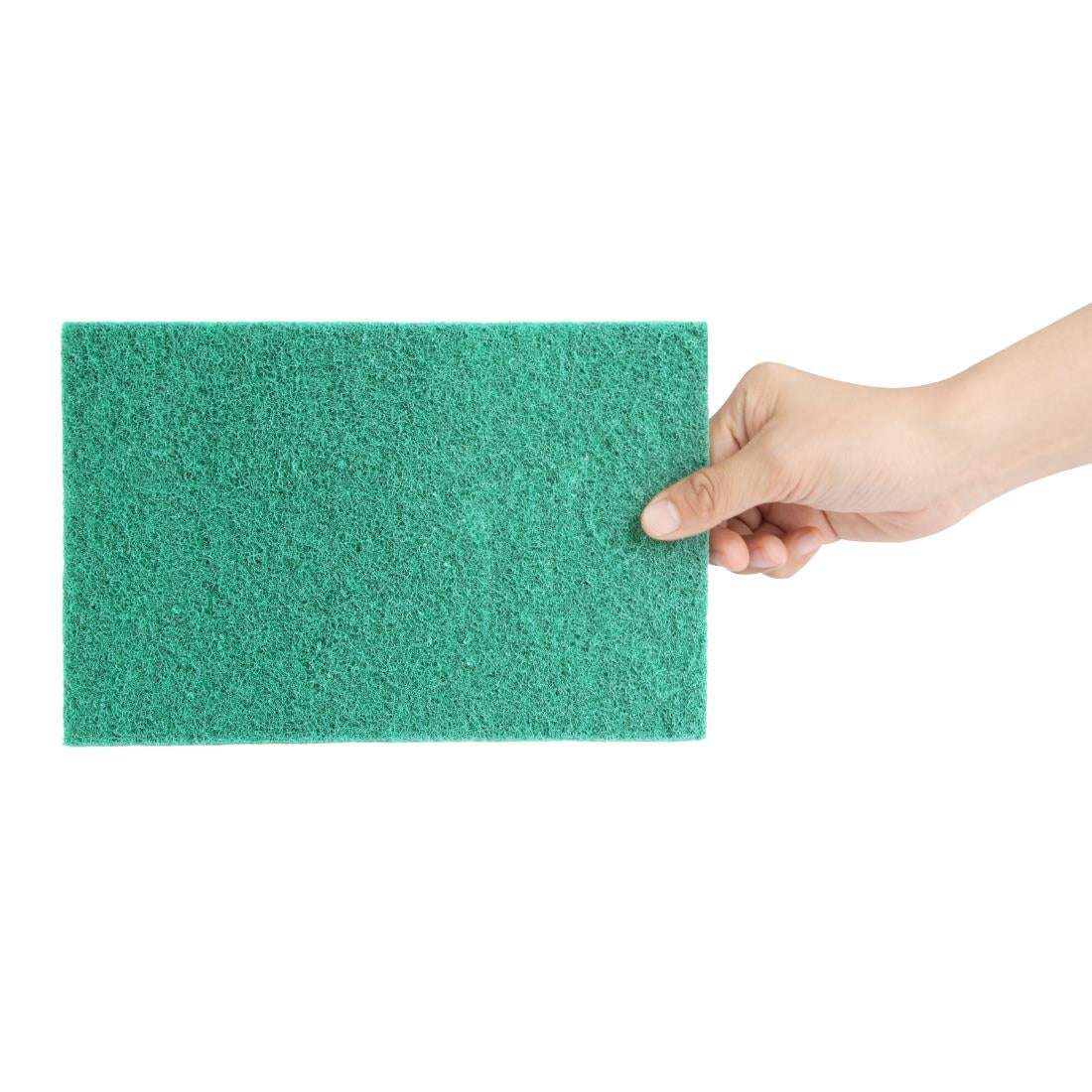 HW010 - Jantex Green 100% Recycled Scouring Pads 9x6" (10 pack)