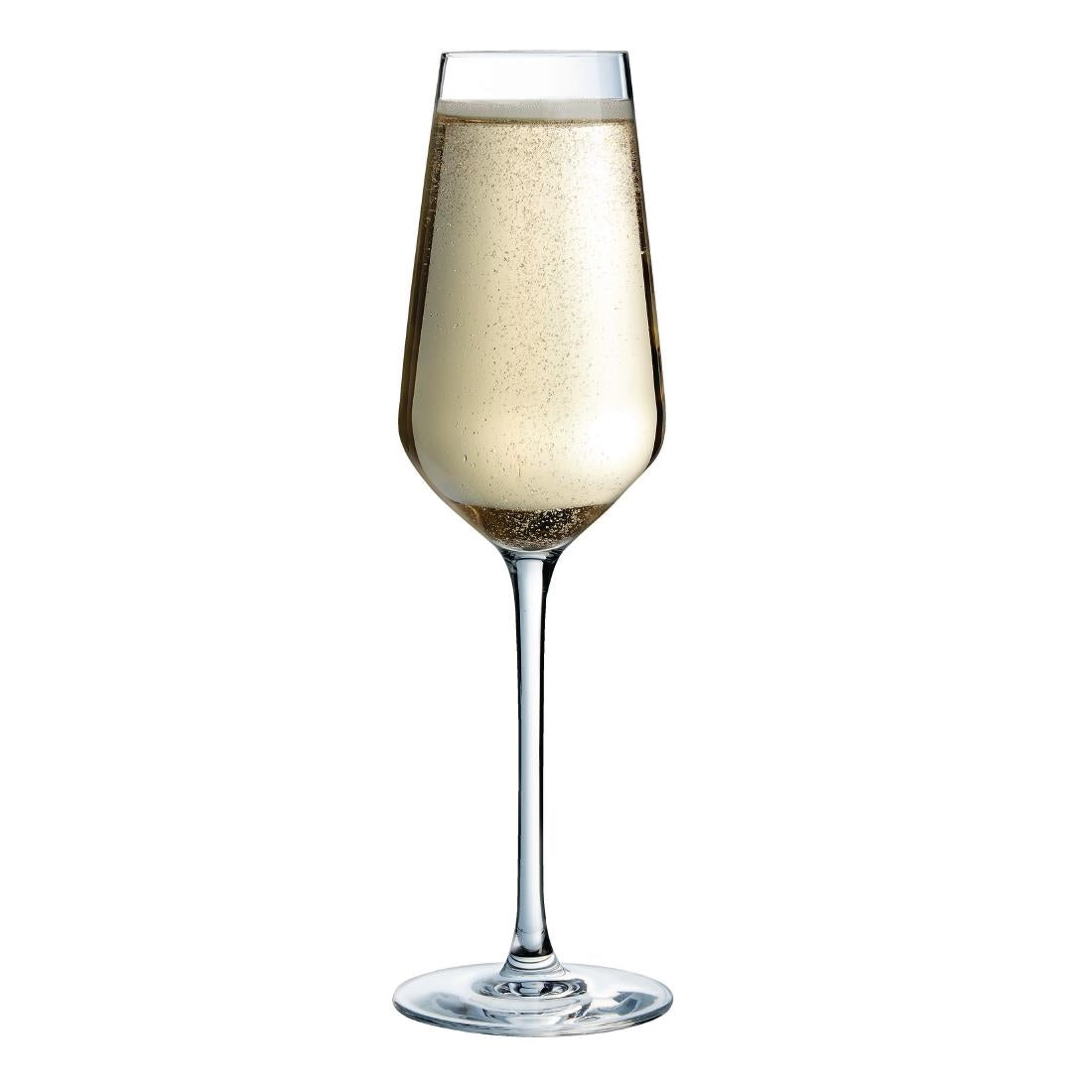 HW232 Arcoroc Distinction Champagne Flutes 230ml (Pack of 24)