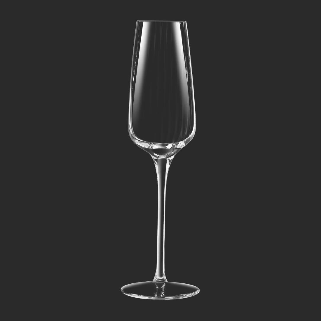 HW250 Chef and Sommelier Symetrie Champagne Flutes 210ml (Pack of 24)
