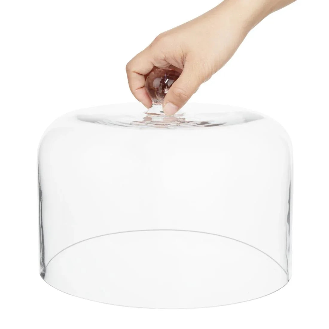 HW799 Olympia Glass Dome 240x190mm