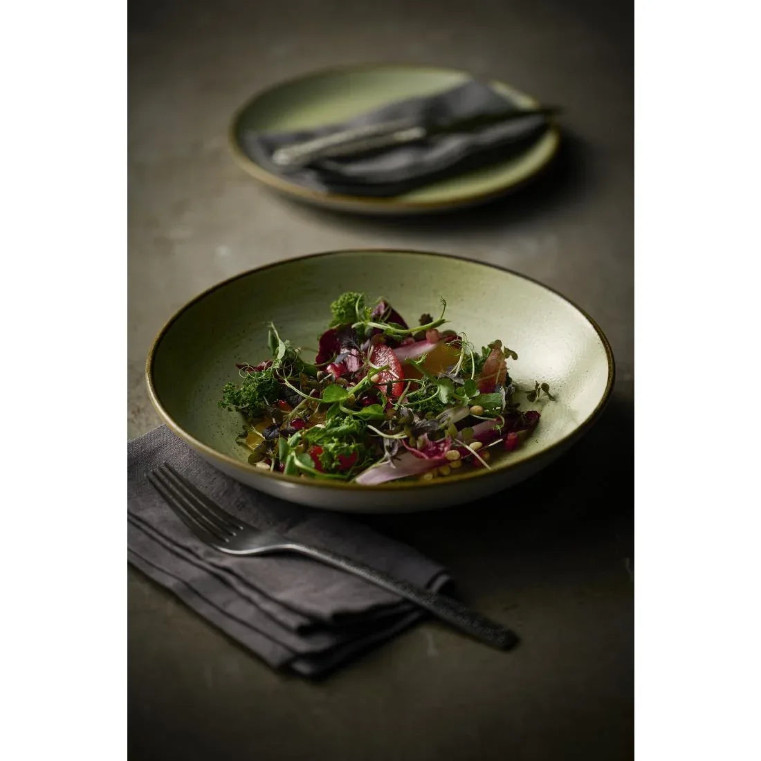 HX040 Churchill Stonecast Raw Green Evolve Coupe Plates 220mm (Pack of 12)