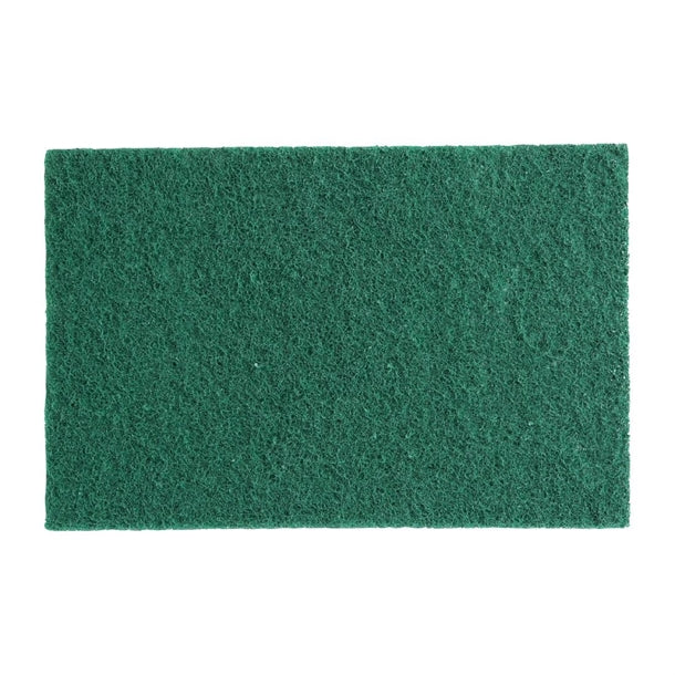 HX233 Jantex Large Scouring Pads - Green (Pack of 10)