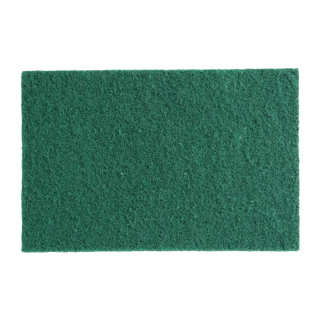 HX234 Jantex Small Scouring Pads - Green (Pack of 10)