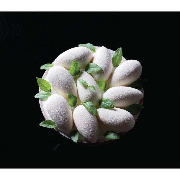 HX510 Pavoni Silicone Quenelle Tonda Mould 600x400mm