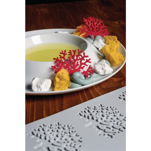 HX526 Pavoni Silicone Coral Mould 300x200mm