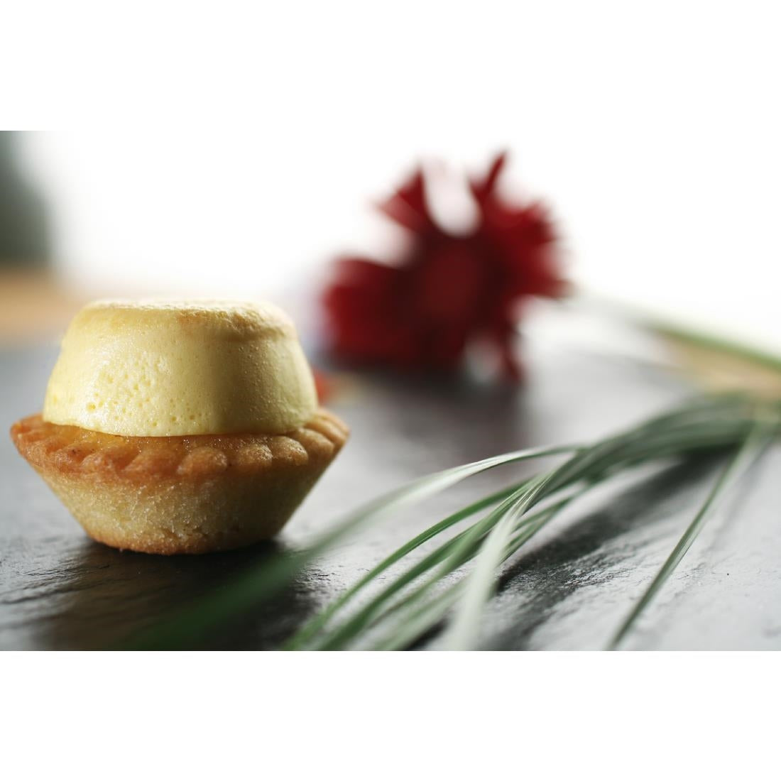 HZ110 De Buyer Silicone Mold Eastomoule 24 Mini-Tartle