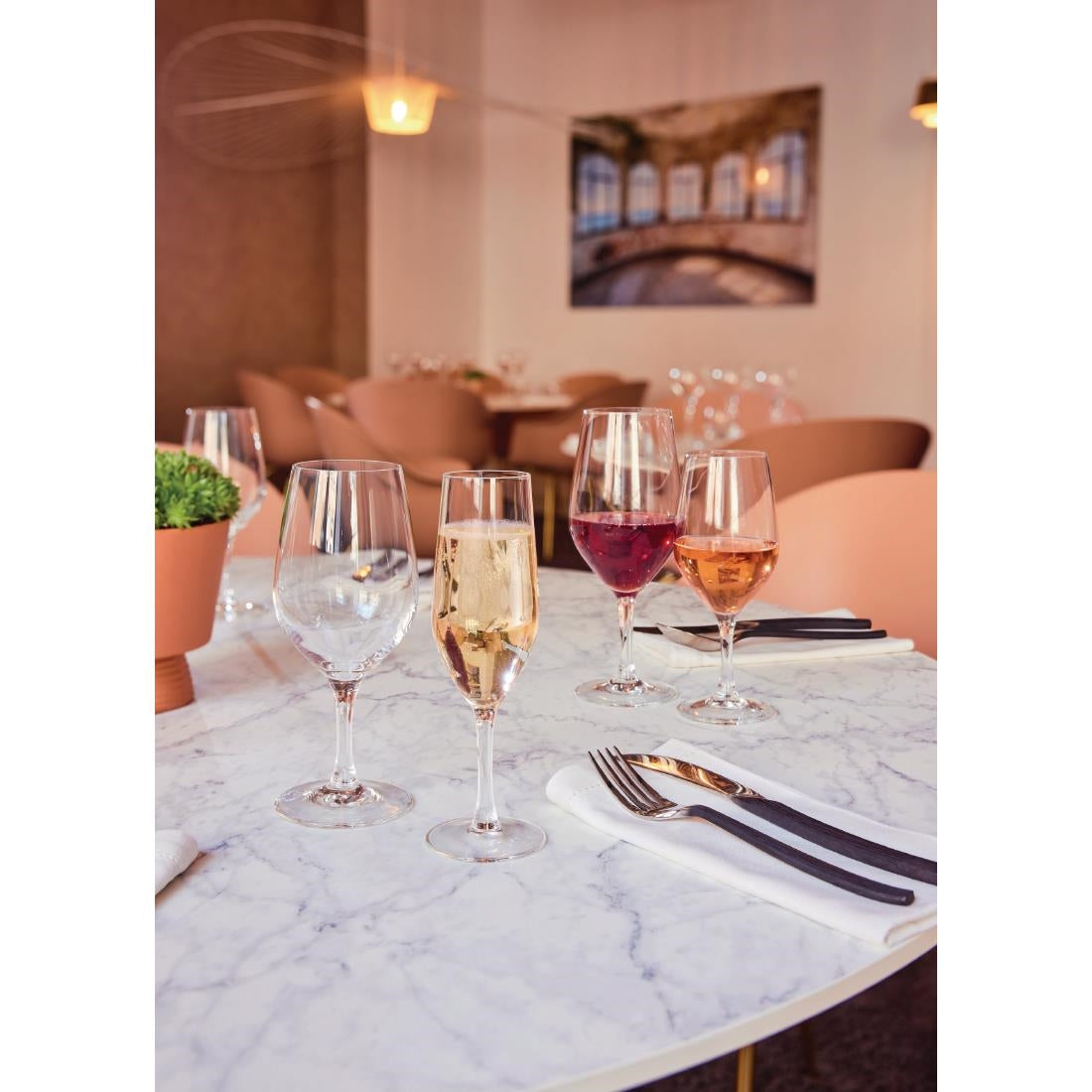 HZ425 Chef & Sommelier Evidence Wine Glasses 350ml (Pack of 24)