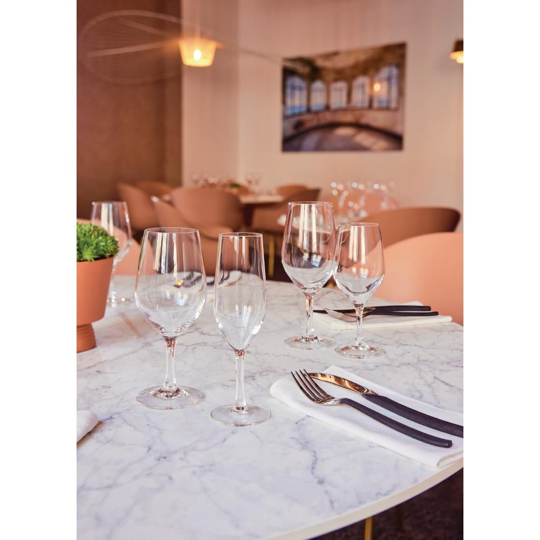 HZ427 Chef & Sommelier Evidence Flute Glasses 160ml (Pack of 24)