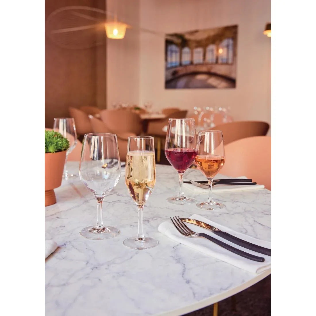 HZ427 Chef & Sommelier Evidence Flute Glasses 160ml (Pack of 24)