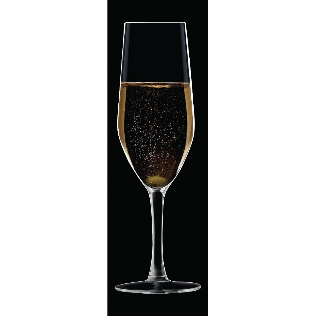 HZ427 Chef & Sommelier Evidence Flute Glasses 160ml (Pack of 24)