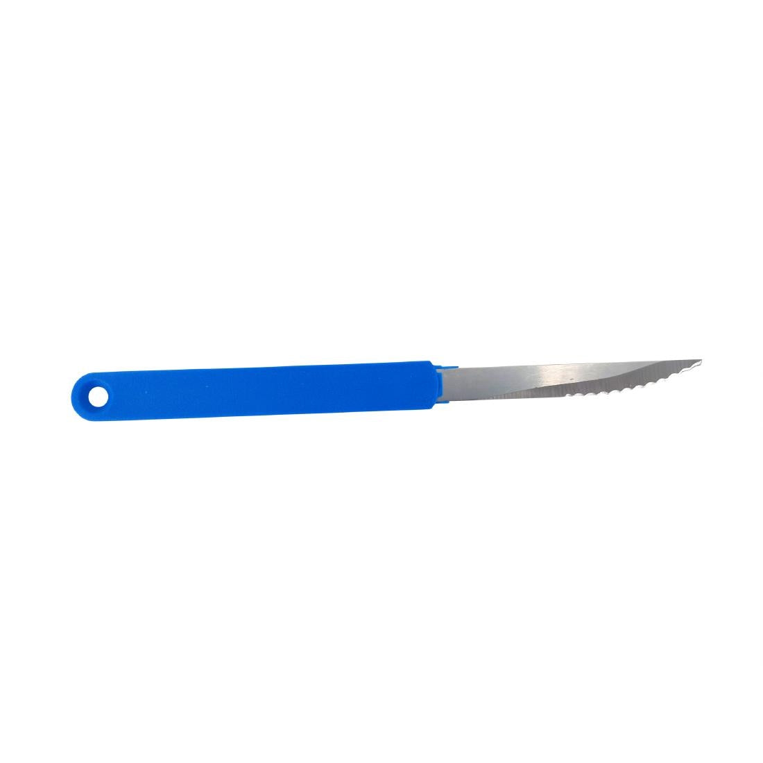 HZ536 - Scaritech Scarinox Knife Blue