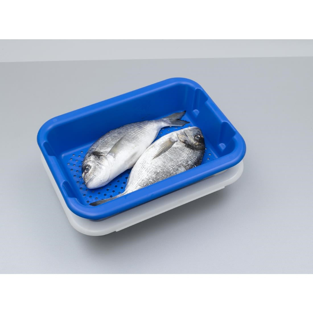 HZ544 - Scaritech Drainage Tray Blue 10Ltr
