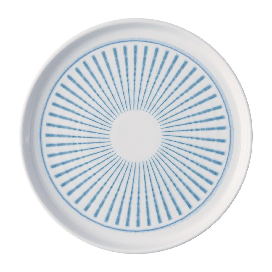 JA051 - Churchill Era Blue Walled Plates 210mm (6 Pack)