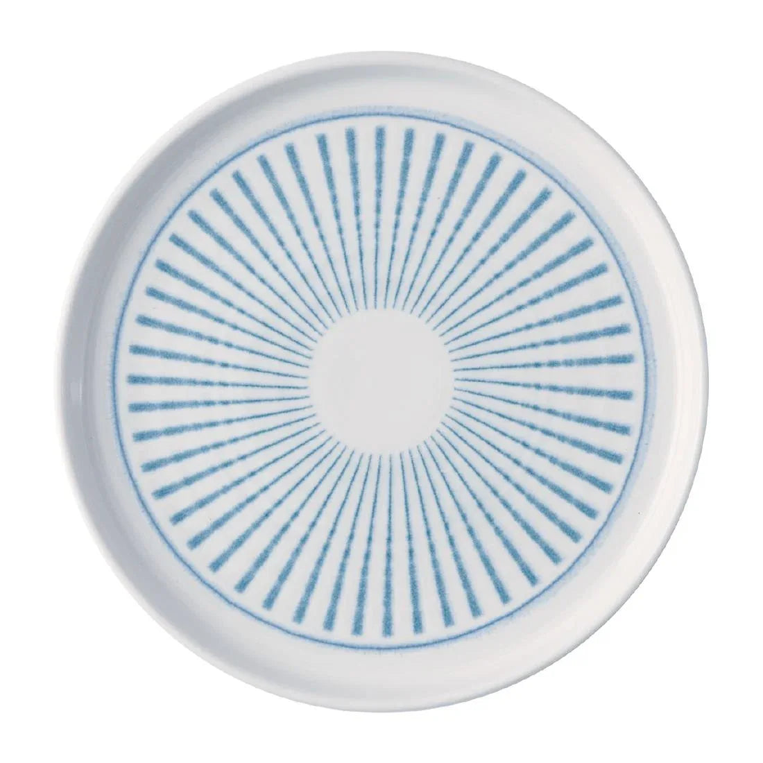 JA051 - Churchill Era Blue Walled Plates 210mm (6 Pack)