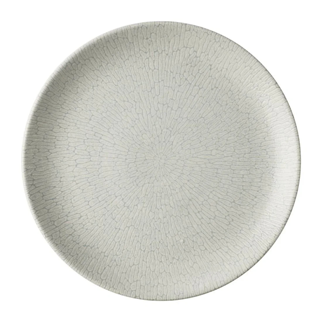 JA076 - Churchill Delta Grey Evolve Plates 288mm (12 Pack)