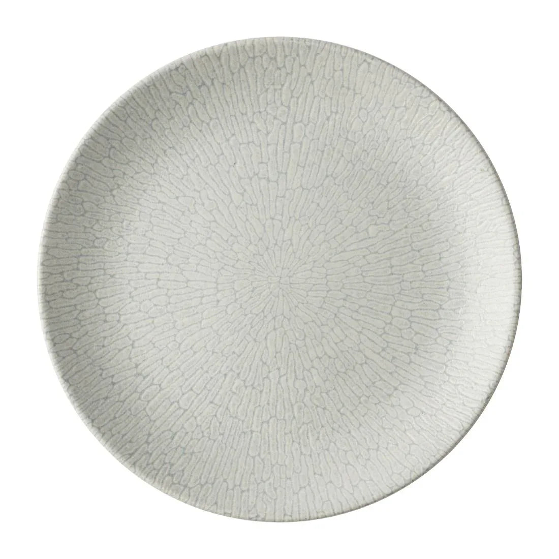 JA077 - Churchill Delta Grey Evolve Plates 260mm (12 Pack)