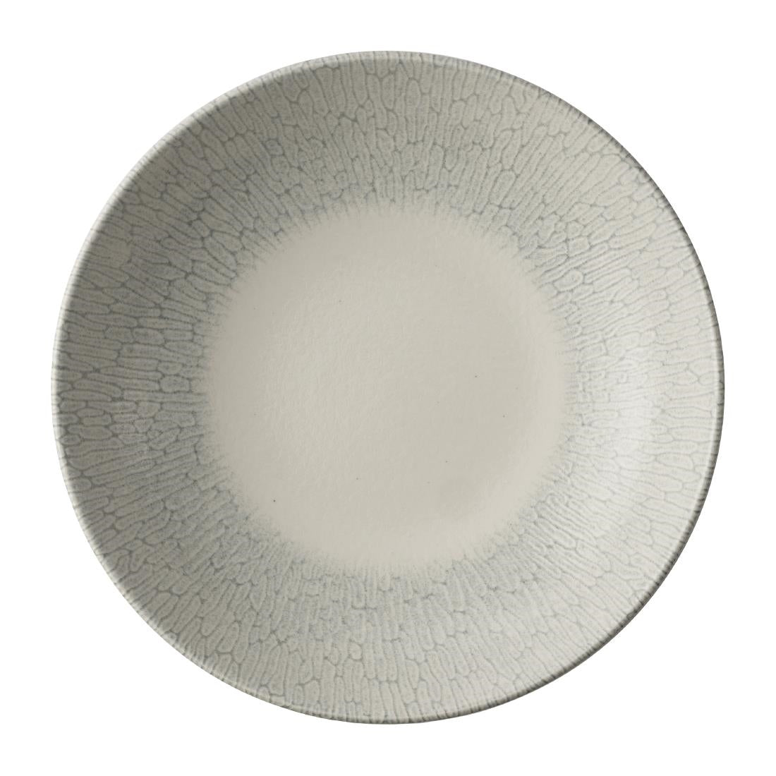 JA080 - Churchill Delta Grey Evolve Bowls 248mm (12 Pack)