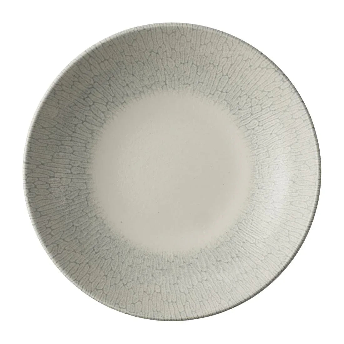 JA080 - Churchill Delta Grey Evolve Bowls 248mm (12 Pack)