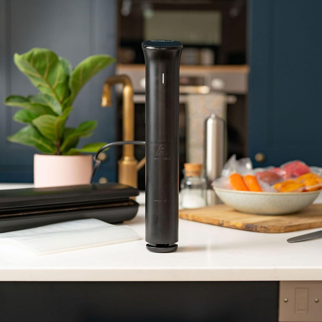 Sousvidetools Ivide Cooker 2.0