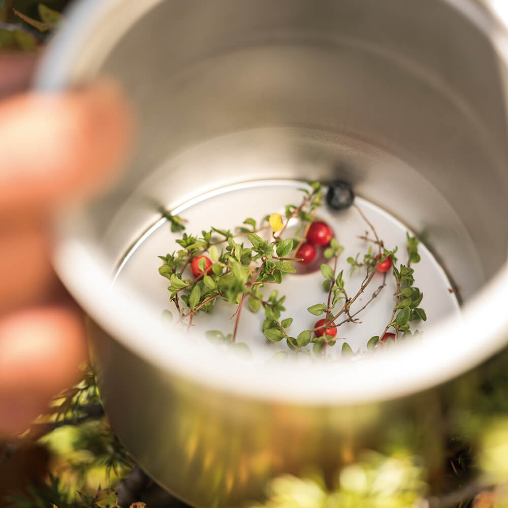 HZ900 - Pacojet 4 BLACK FRIDAY PACK DEAL