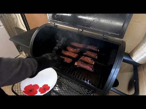 Lifestyle Big Horn Pellet Grill and Smoker LFS256-2