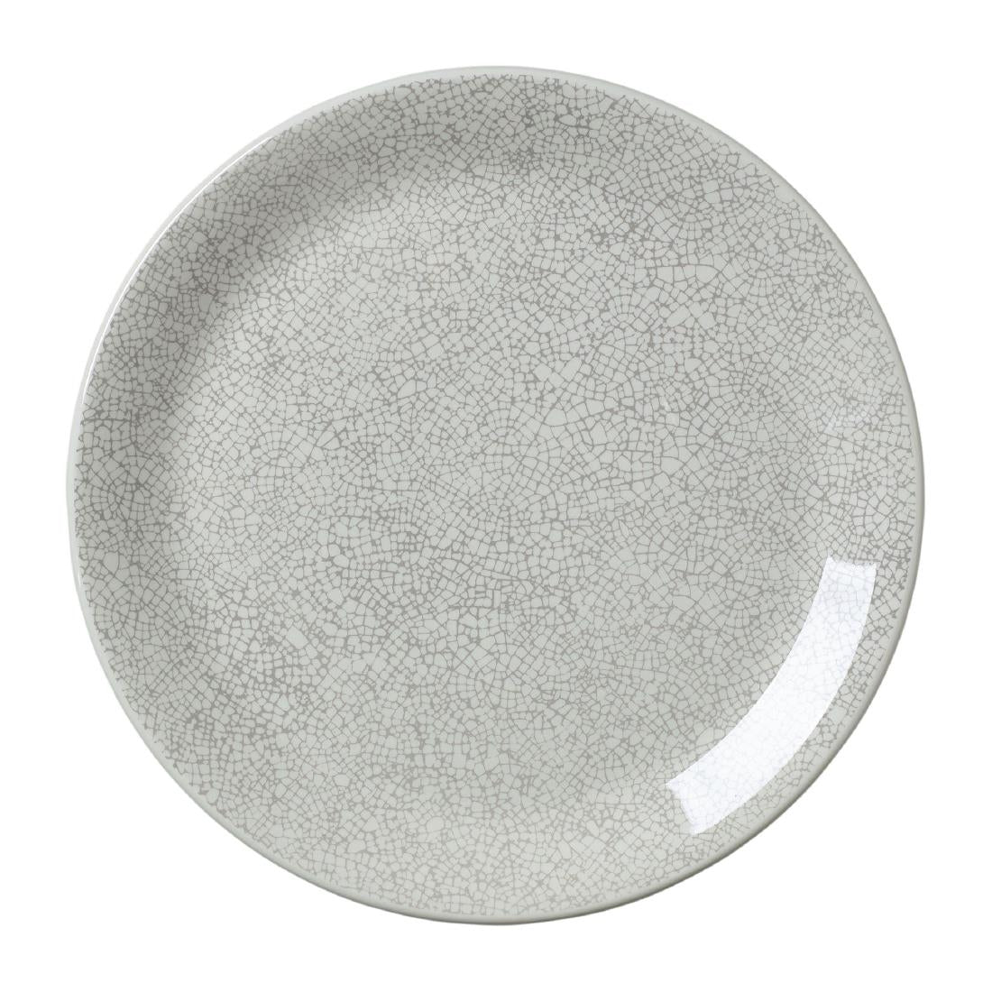 VV1049 Steelite Ink Crackle Grey Coupe Plates 253mm (Pack of 12)