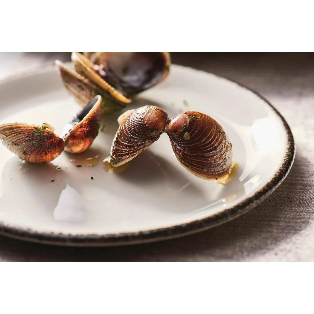 VV1333 Steelite Charcoal Dapple Coupe Plates 202mm (Pack of 24) - JD Catering Equipment Solutions Ltd