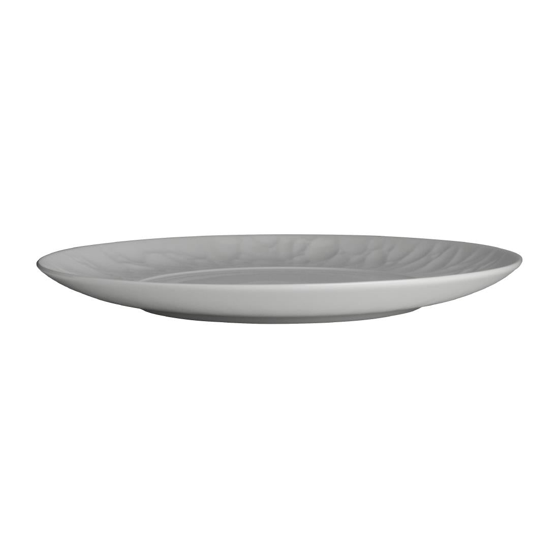 VV3735 Steelite Atelier Plates 270mm (Pack of 12)