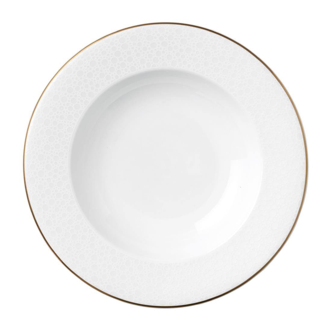 VV3946 William Edwards Fizz Rim Bowl 220mm (Pack of 12)