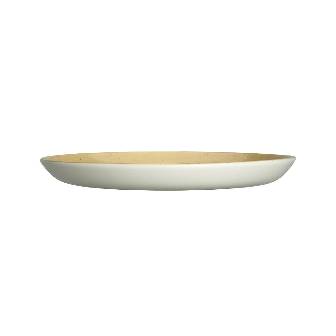 VV4545 Steelite Amari Dijon Nordic Coupe Plates 252mm (Pack of 12)