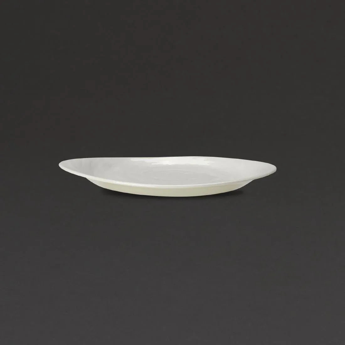 VV690 Steelite Scape Plates 254mm (Pack of 12) - JD Catering Equipment Solutions Ltd