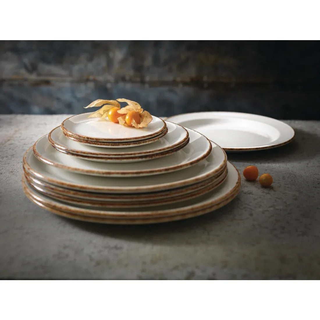 VV751 Steelite Brown Dapple Coupe Plates 300mm (Pack of 12) - JD Catering Equipment Solutions Ltd