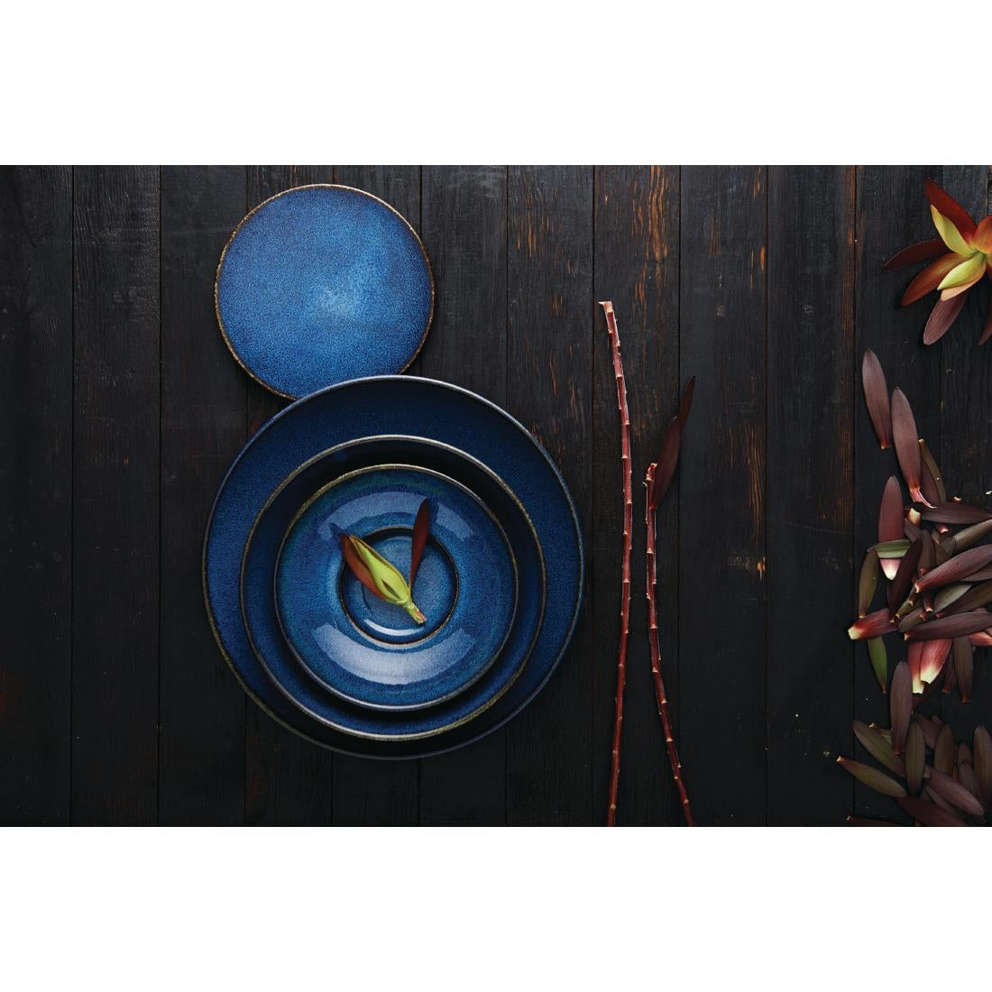 VV849 Rene Ozorio Wabi Sabi Coupe Plates Indigo 285mm (Pack of 6)