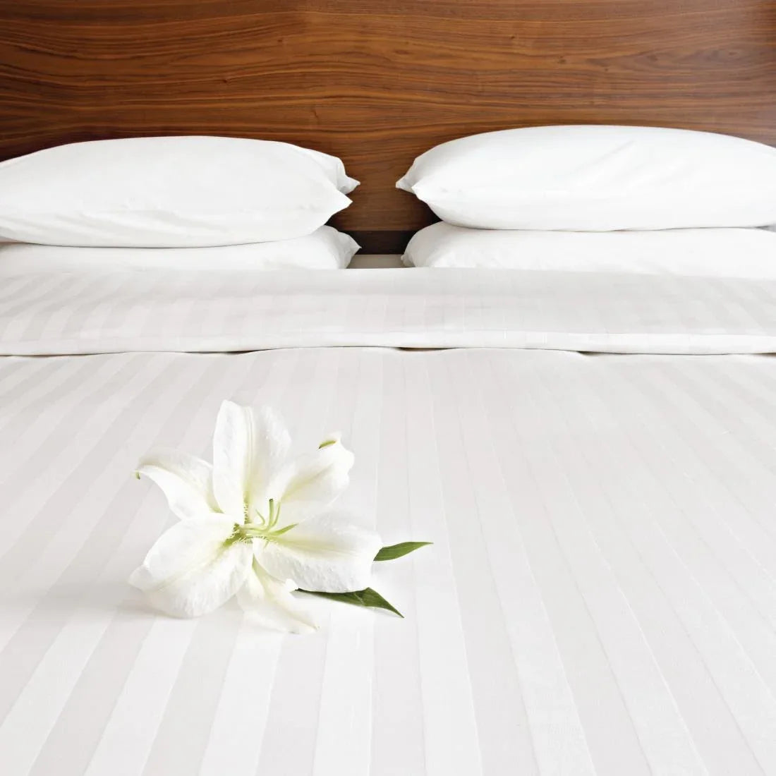HB606 Mitre Comfort Satin Housewife Pillowcase Oatmeal - JD Catering Equipment Solutions Ltd
