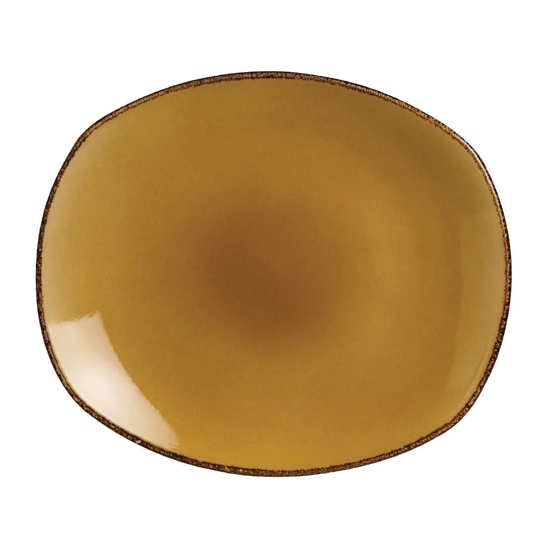 V7138 Steelite Terramesa Mustard Spice Plates 202mm (Pack of 24) - JD Catering Equipment Solutions Ltd