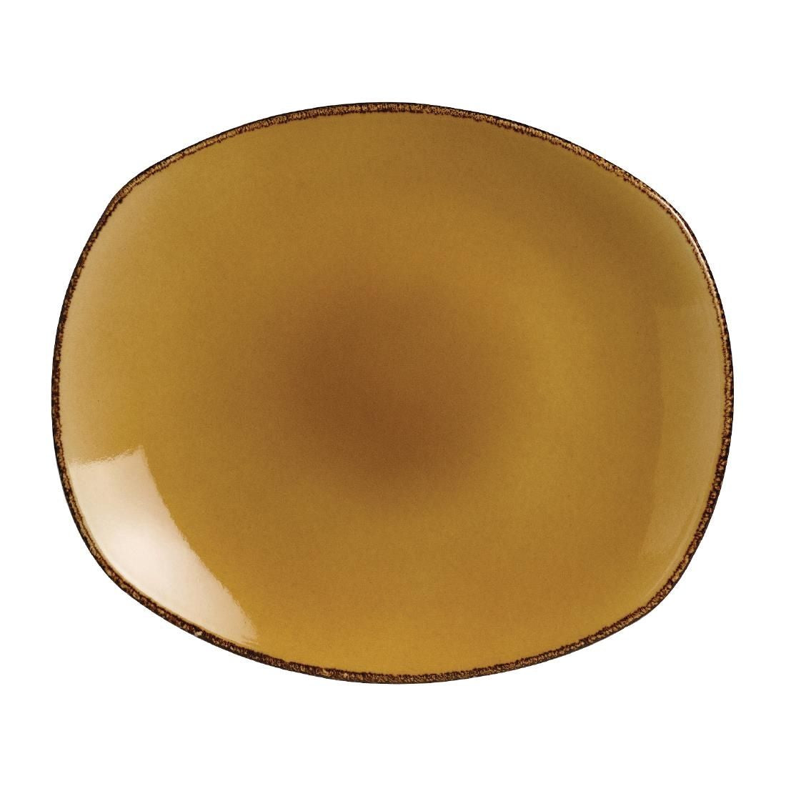 V7137 Steelite Terramesa Mustard Spice Plates 255mm (Pack of 24)