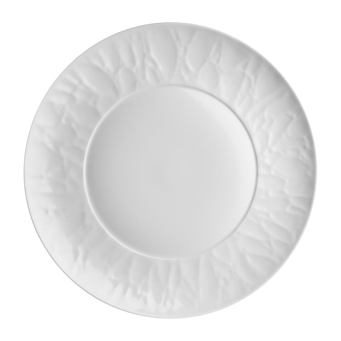 VV3731 Steelite Atelier Signature Plates 279mm Well 171mm (Pack of 12)