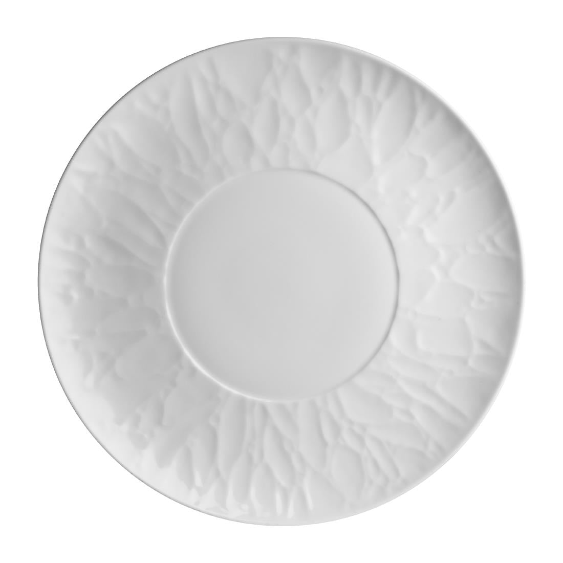 VV3732 Steelite Atelier Signature Plates 279mm Well 140mm (Pack of 12)